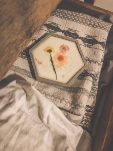 RAFRAICHISSEUR - PÊCHE ET EUCALYPTUS