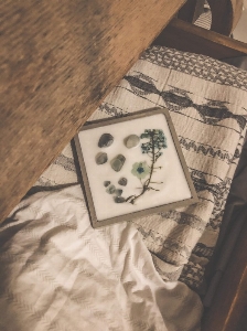 RAFRAICHISSEUR - PÊCHE ET EUCALYPTUS