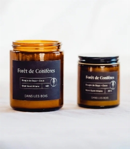 Chandelle - Forêt de conifères