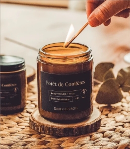 Chandelle - Forêt de conifères