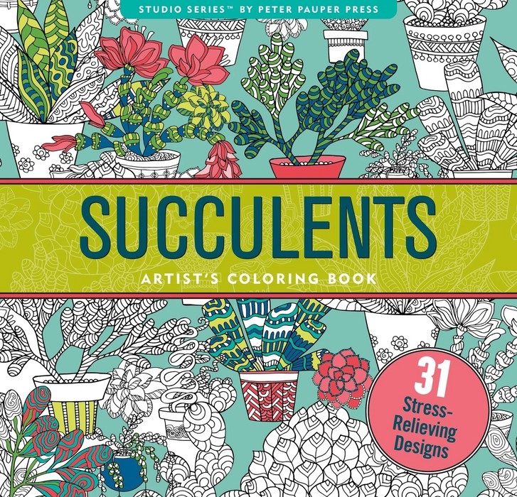 SUCCULENTS A DESSINER