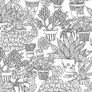 SUCCULENTS A DESSINER