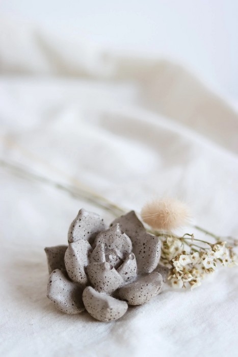 FLEUR DE CIMENT