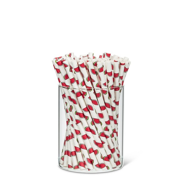 Petite pailles compostables - Melon