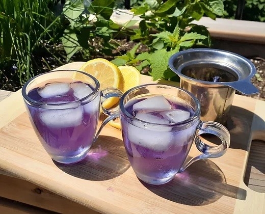 Tisane Soltice d'été