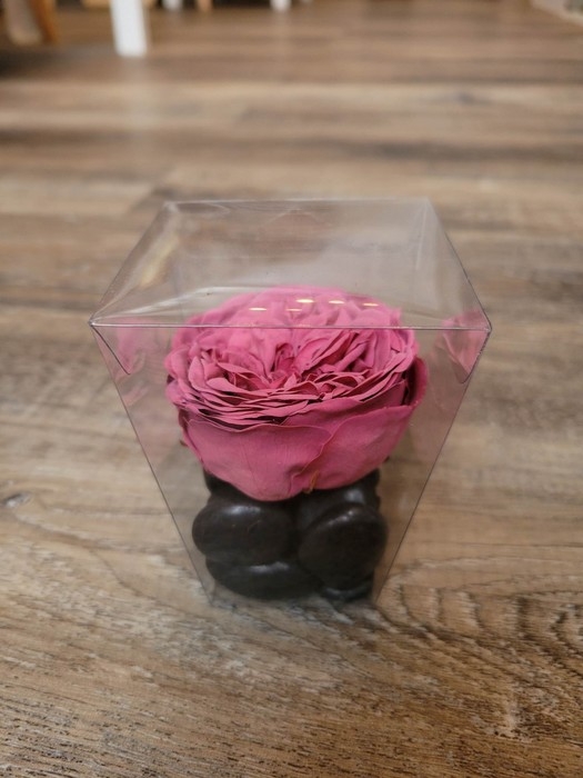 Rose éternelle individuelle - Mauve