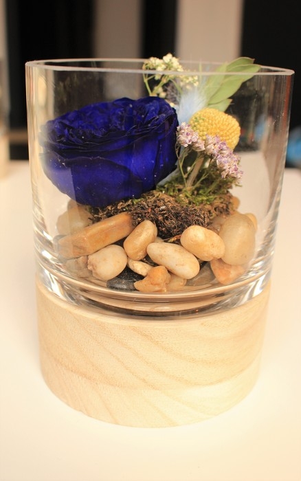 Rose Éternel En Pot - Bleu