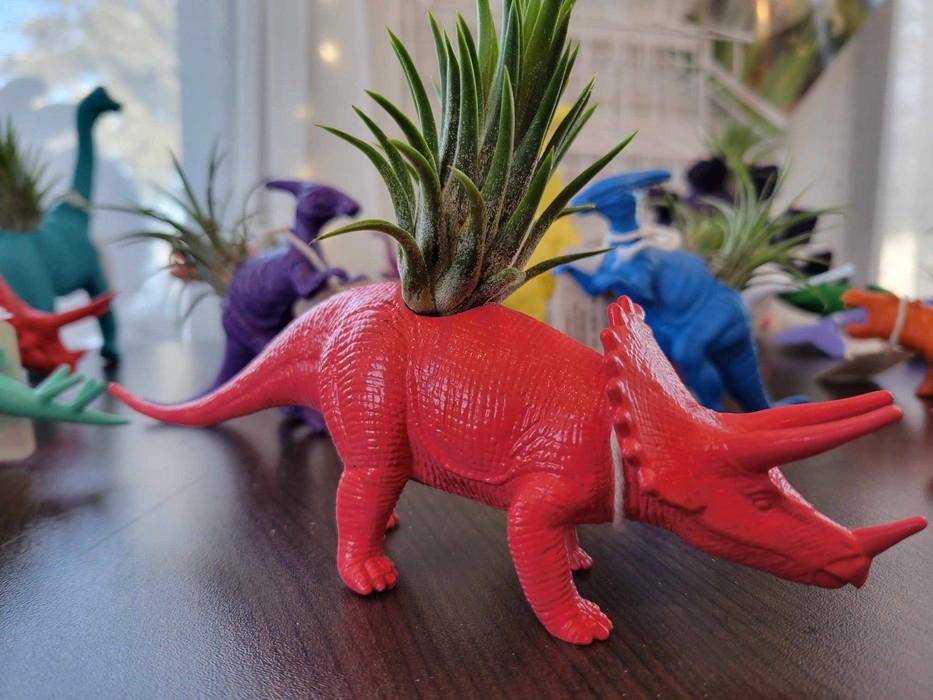 Petite jardinière - Tricératops corail