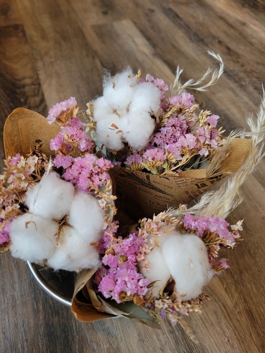La Halte Boréale | Petit bouquet fleur de coton - Rose pâle
