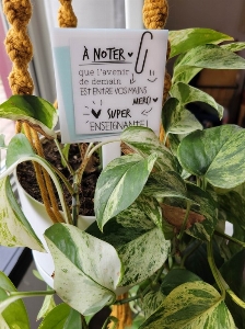 Affiche pour plante - À Noter
