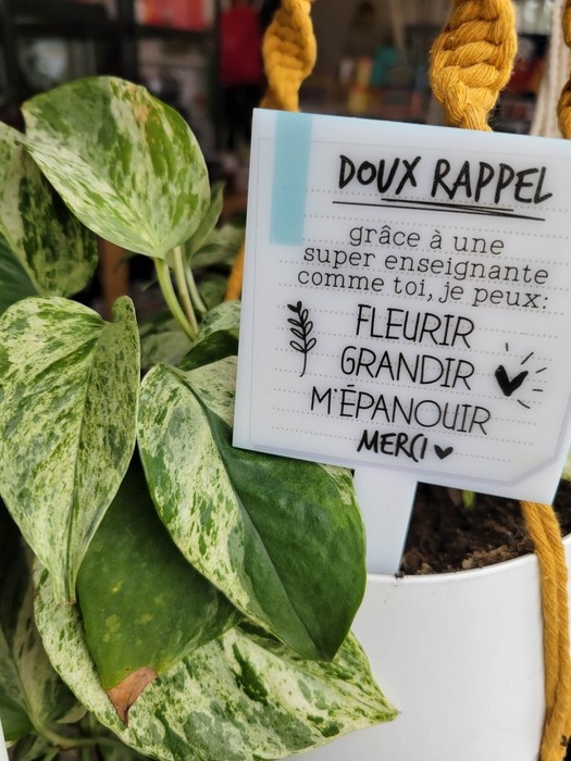 La Halte Boréale | Affiche pour plante - Doux Rappel, Super Éducatrice