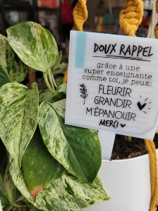 Affiche pour plante - Doux Rappel, Super Éducatrice