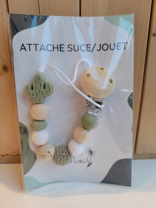 Attache suce - cactus
