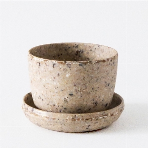 Minipots de fleurs - Pensée comestible
