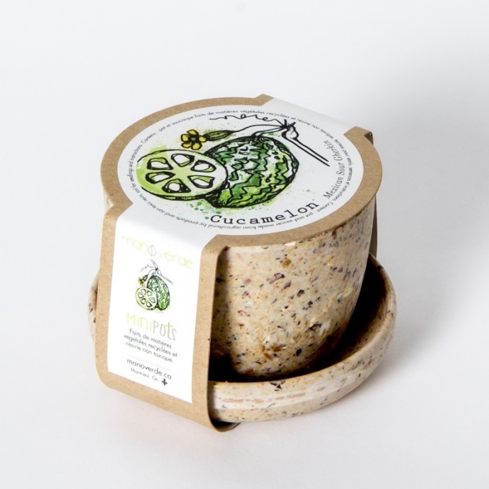Minipots de Cucamelon