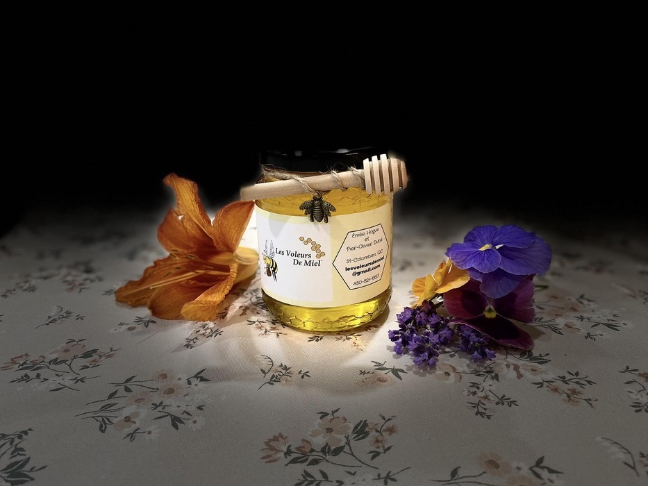 Miel non pasteurisé - Miel de printemps