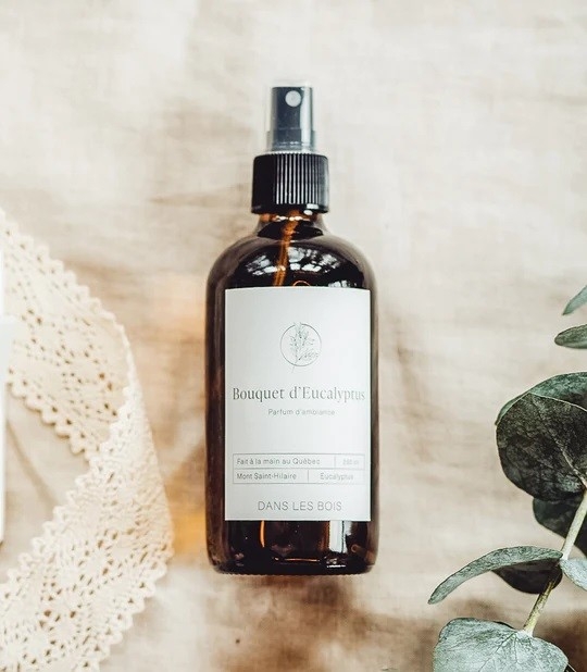 Parfum d'ambiance - Bouquet d'eucalyptus