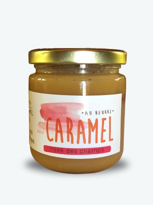 CARAMEL - Rose des champs