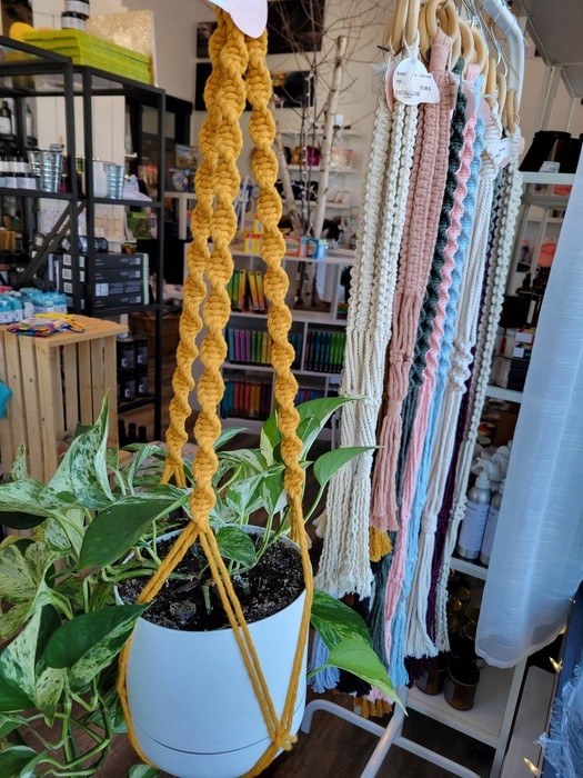 SUPPORT A PLANTES - MOUTARDE