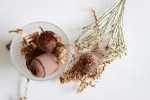 Bombe - Arbre à thé hibiscus 4x20G
